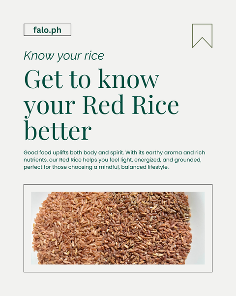Get to Know Your Red Rice Better: The Grain That Nourishes Body and Soul